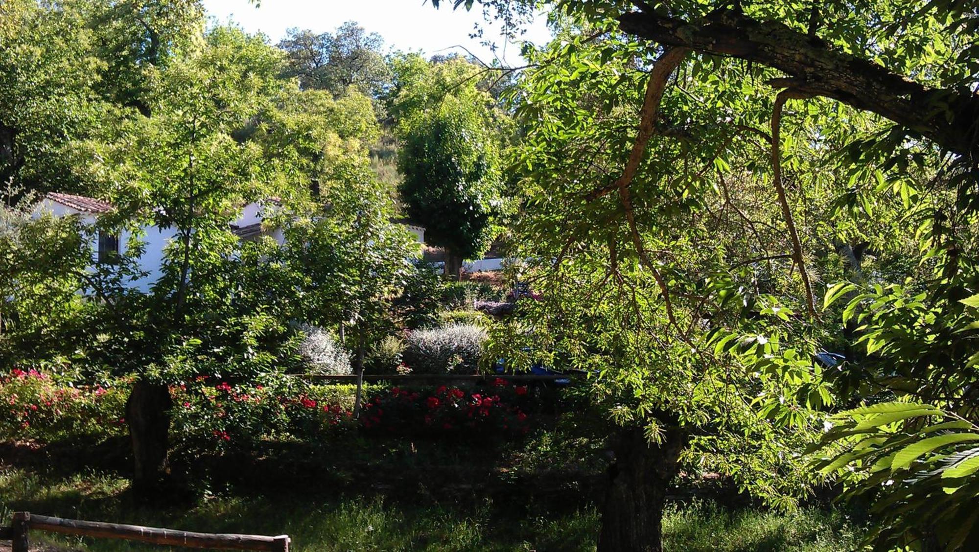 Finca Valbono Apartamentos Rurales Y Hotel Арасена Экстерьер фото