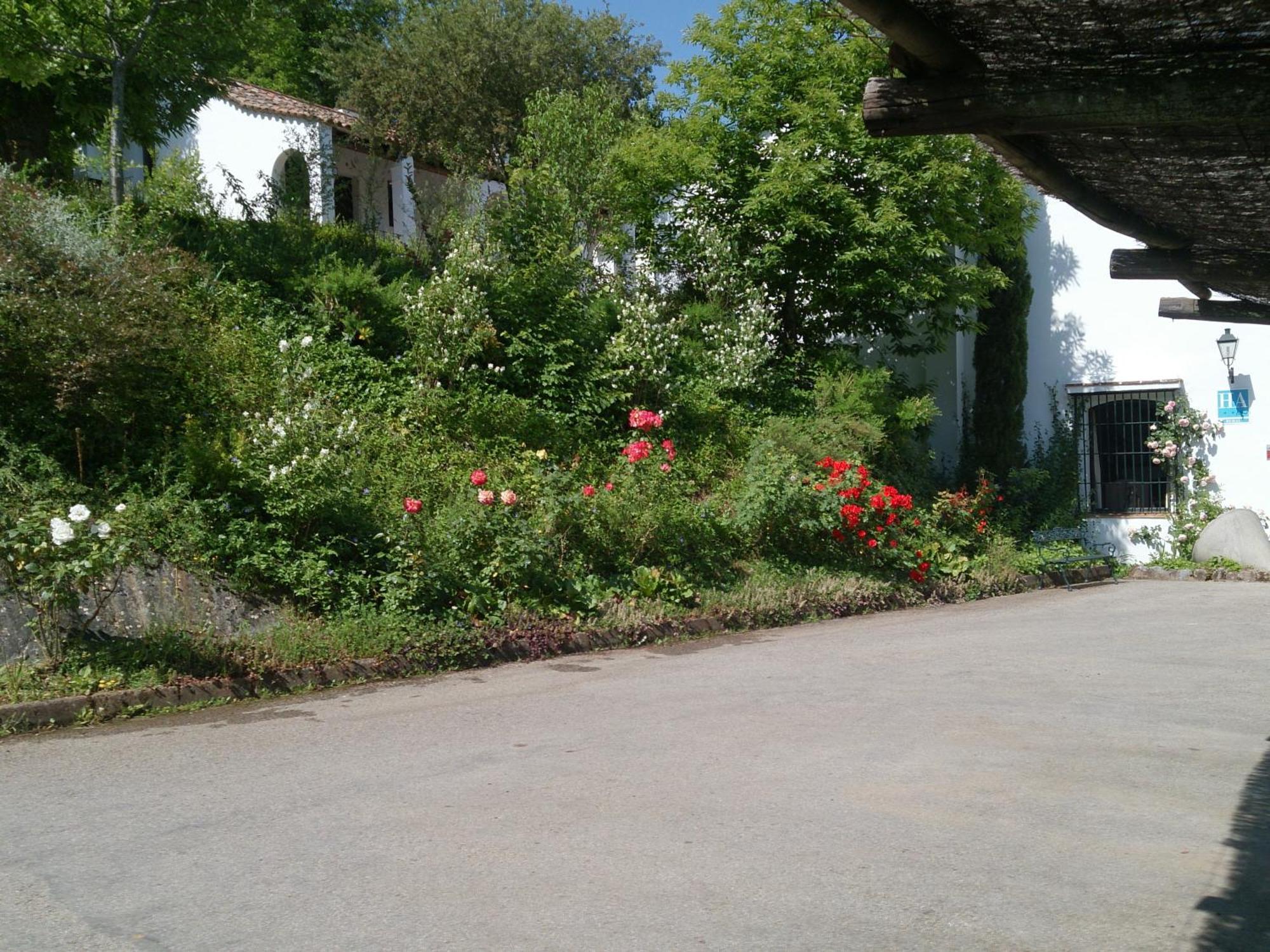 Finca Valbono Apartamentos Rurales Y Hotel Арасена Экстерьер фото